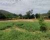Investment Country House on Prime Land in Fethiye 12
