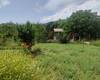 Investment Country House on Prime Land in Fethiye 8