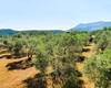 5-bedroom Detached Villa Surrounded by Nature in Fethiye 21