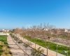 Bungalows En Venta Llave En Mano En Pilar De La Horadada 13