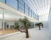 Villas Privilegiadas De Diseño Inteligente En Cádiz Andalucía 14