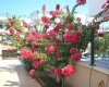 Detached 5 Bedroom Belek Villa for Sale 6