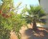 3 Bedroom Belek Villas for Sale 8