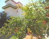 3 Bedroom Belek Villas for Sale 9
