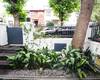 6-zimmer-haus Mit Privatem Garten In Besiktas Istanbul 6