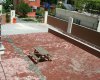 Spacious Property with Blinds in Antalya Turkey 8