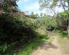 Nature Front Well-located Plot at an Affordable Price in Benalmádena 1