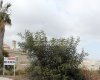 Land for Villa Construction with Amazing Sea View in Benalmádena 4