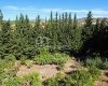 Private Country House Close to Amenities in Malaga