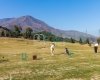Golf Front Well-located Urban Plots in Estepona Costa Del Sol 8