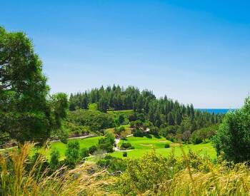 Residential Plots with Unique Views in Privileged Area of Mijas 1