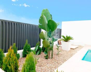 Elegant Designed Homes with Private Pool in Torrevieja 2