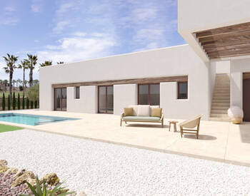 Stylish Villas with Rooftop Solariums and Pools in Algorfa 1
