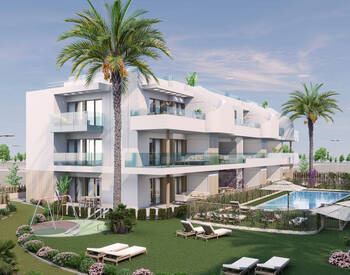 Properties in Complex with Pool in Pilar De La Horadada 3