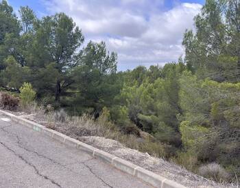 Terrain De 7716 M² Avec Vue Sur La Mer À Altea Costa Blanca 3
