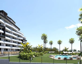 Elegant Design Apartments with Pool in San Miguel De Salinas 3