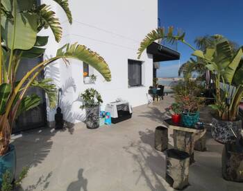 Detached House with Pool Near the Sea in Torrevieja Alicante 3