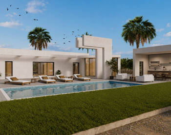 Fristående Villor Med Privat Pool I Benejúzar Alicante 2