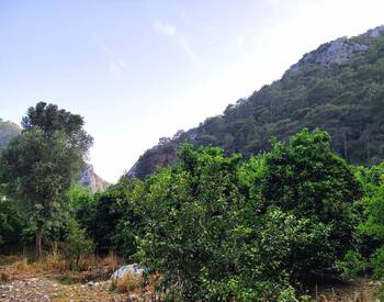 Investment Land Suitable for Villa Construction in Olympos 1