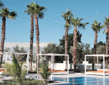 Apartments in Project Close to Sea in Alanya Demirtas 2