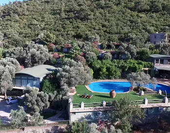 Country Houses Amidst Greenery in Bodrum 1