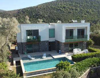 Detached House with Private Swimming Pool and Garden in Bodrum 1