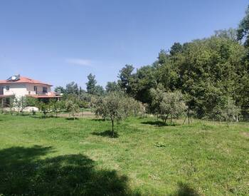Country House by Streams and Forests in Muğla Seydikemer 1
