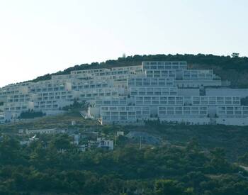 Sea-view Flat in a Complex with Private Beach in Muğla Milas 2