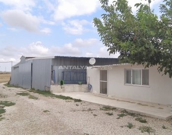 Property For Sale In Balikesir Real Estate In Balikesir Property For Sale In Balikesir Real Estate In Balikesir