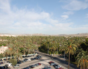 Spacious Apartments for Sale in the City Center of Elche 1