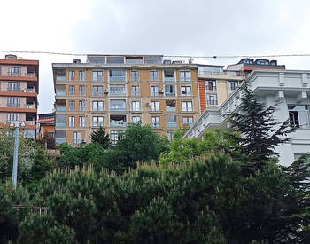 آپارتمان دوبلکس با نمای شاخ طلایی در ایوپسلطان 1