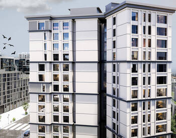 Apartments 500 M From the Sea in Zeytinburnu 3