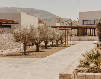 فيلا للبيع مع ارض زراعية كبيرة في يكلا مورسيا 2