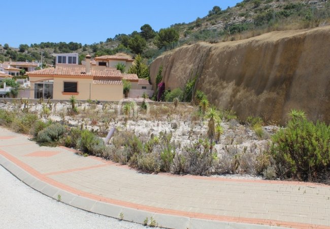 Lands in Hondon De Las Nieves, Costa Blanca 40 Km to the Sea 13