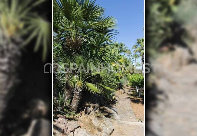 Grandiosa Villa En Alhaurín El Grande Con Vistas A La Ciudad 9