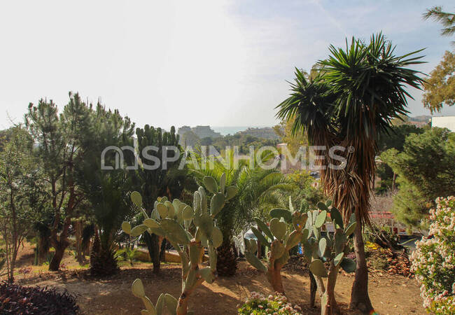 Recently Renovated Studio Apartment in Benalmádena 7