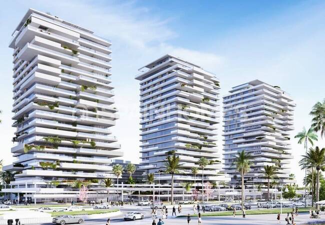 Apartamentos Con Techos Altos Y Terrazas En Málaga Capital 1