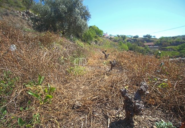 Удачно Расположенный Загородный Дом в Аренасе 16