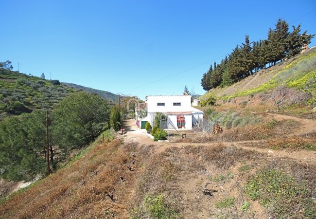 Удачно Расположенный Загородный Дом в Аренасе 18