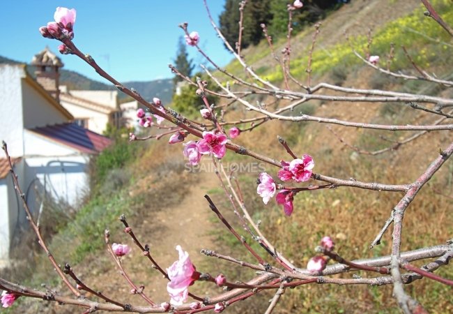 Удачно Расположенный Загородный Дом в Аренасе 23