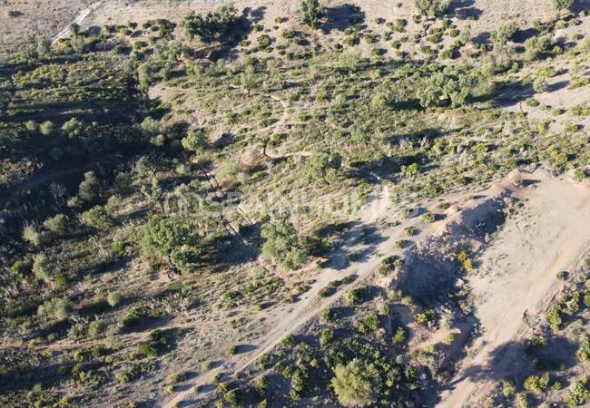 Plot with Hills and Views in a Prestigious Part of Mijas 21