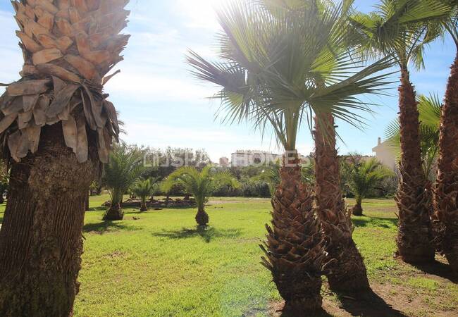 South-oriented Flat Near the Beach of Torremolinos Benalmadena 2