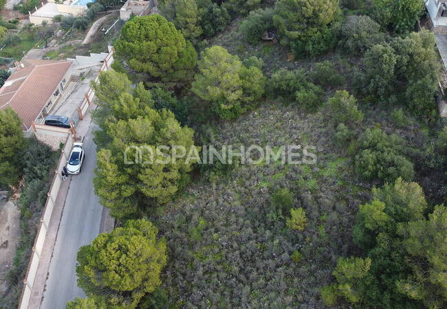 Land in a Quiet and Natural Area in Alhaurin De La Torre, Malaga 3