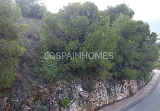 Land in a Quiet and Natural Area in Alhaurin De La Torre, Malaga 5
