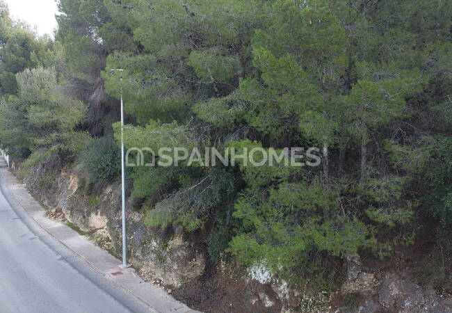 Land in a Quiet and Natural Area in Alhaurin De La Torre, Malaga 7