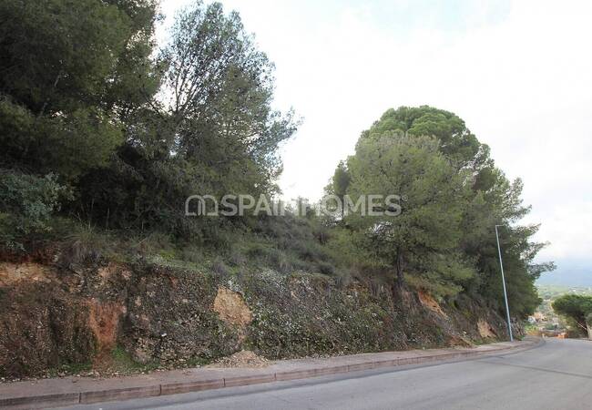 Land in a Quiet and Natural Area in Alhaurin De La Torre, Malaga 9