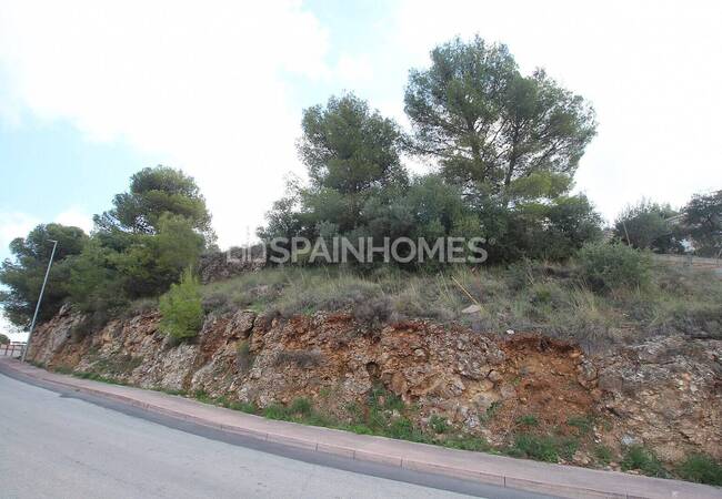 Land in a Quiet and Natural Area in Alhaurin De La Torre, Malaga 10