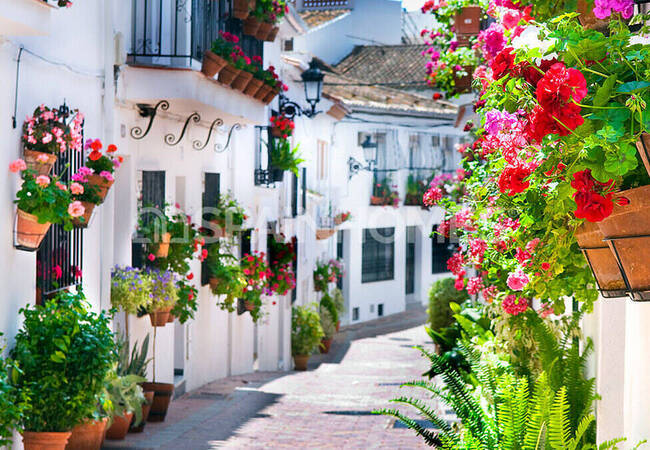 Tomt Med Havsutsikt Och Förprojekt För Ett Hotell I Benalmadena 6