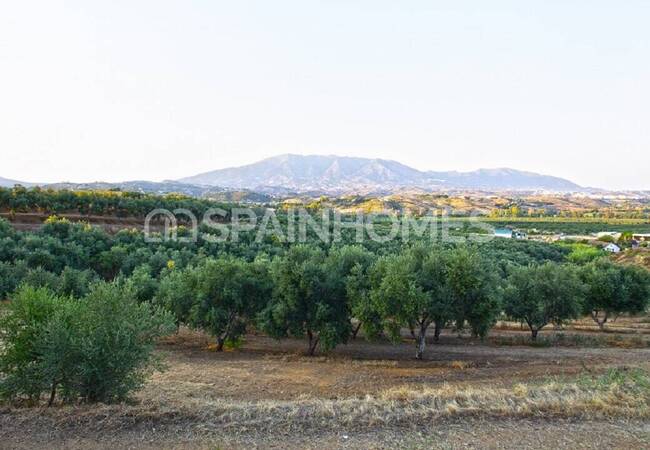 High Floor Ratio Plots in the Renowned Golf Resort in Mijas 5