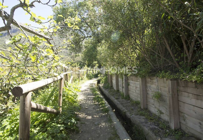 Duplex Penthouse Avec 80 M² Rooftop Solarium À Istán, Málaga 8